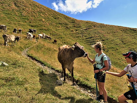 Laghi e Monte Ponteranica-Monte Avaro dai Piani-13ag22- FOTOGALLERY